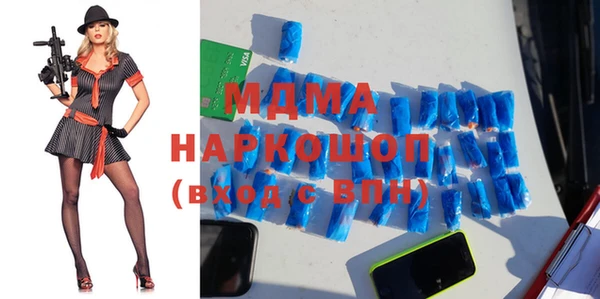 индика Ладушкин