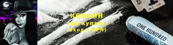 шишки Лабытнанги