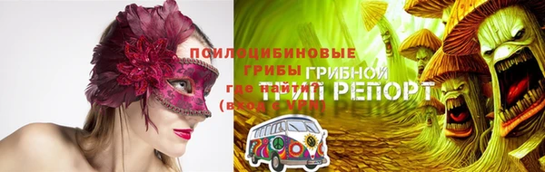 мяу мяу мука Арсеньев