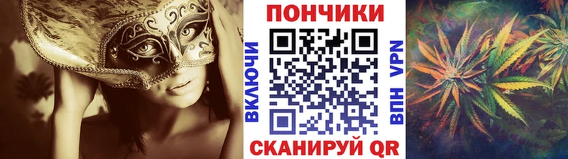 Бошки Шишки ГИДРОПОН  Обоянь 
